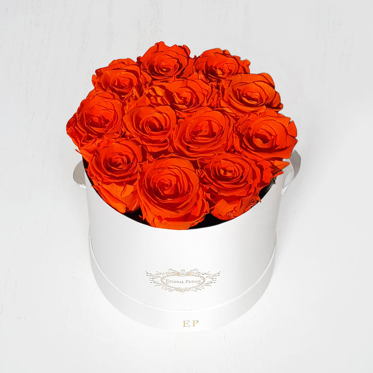 ORANGE | ROUND WHITE