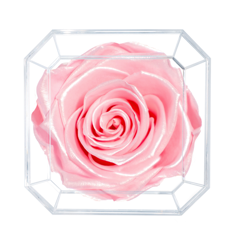 SOLO | PINK SATIN