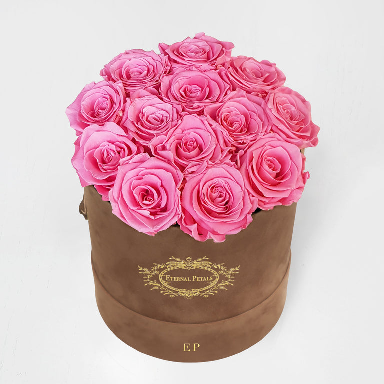 PINK | BROWN SUEDE
