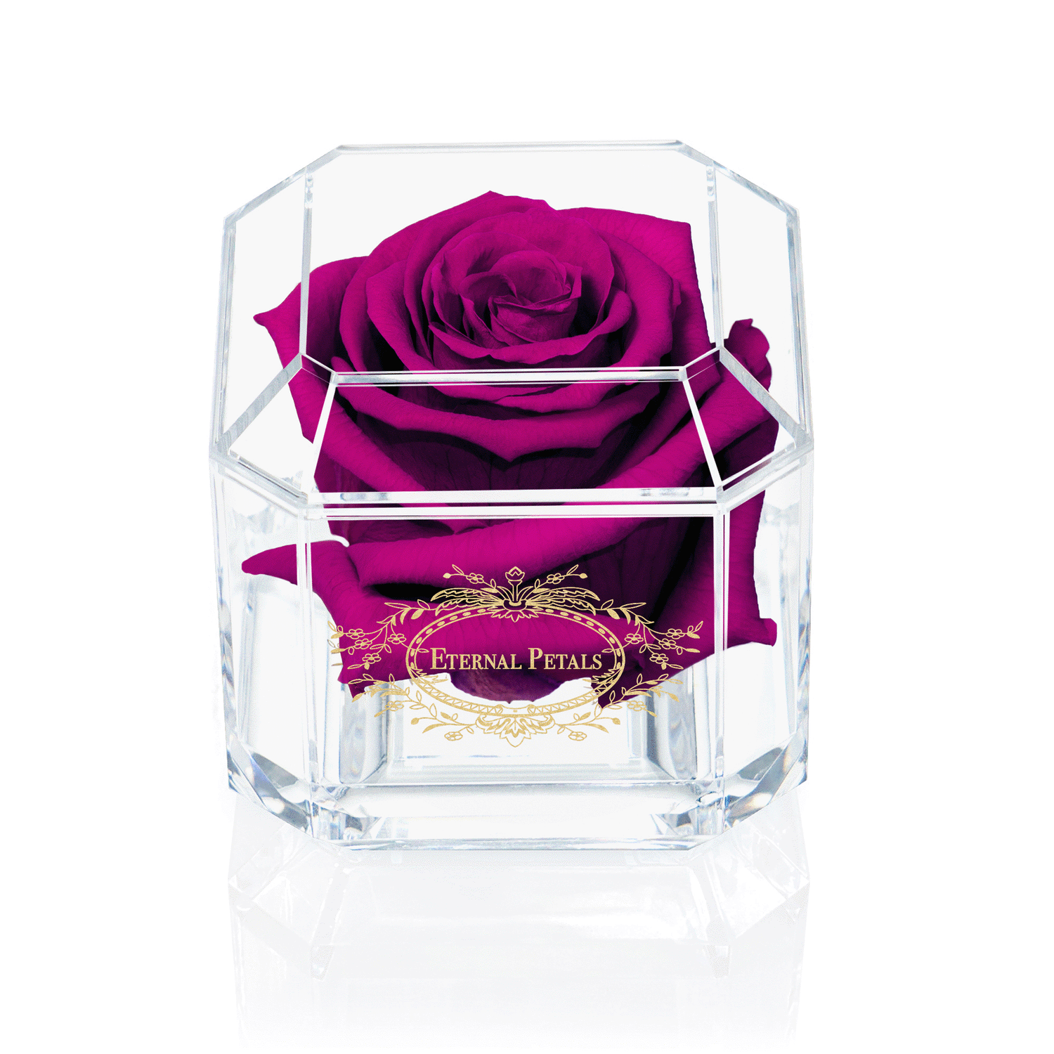 SOLO | PLUM