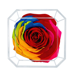DIAMOND | RAINBOW