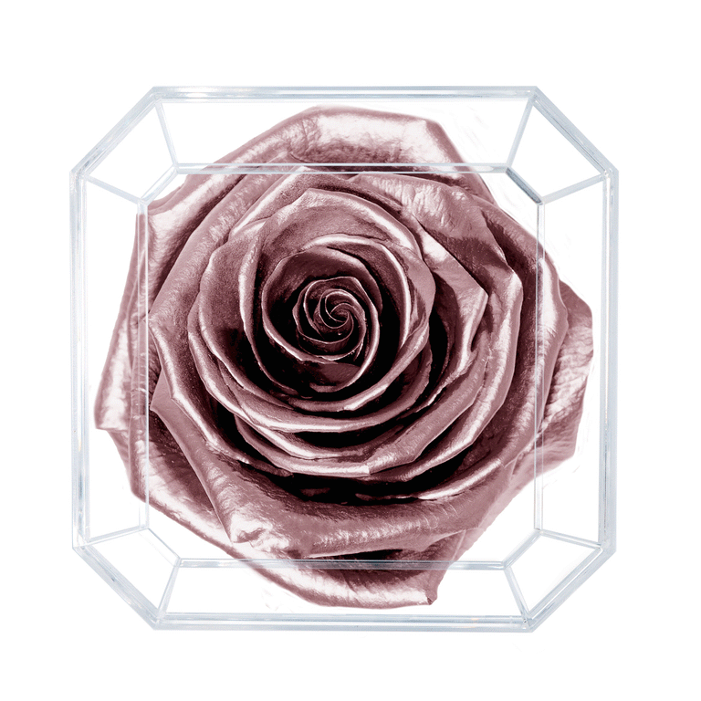 SOLO | ROSE GOLD