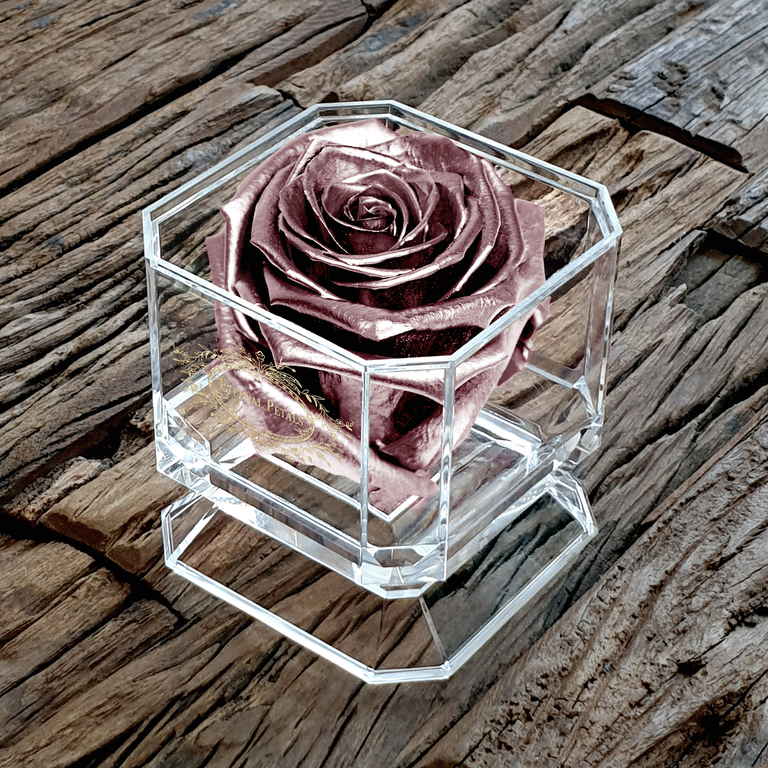 SOLO | ROSE GOLD