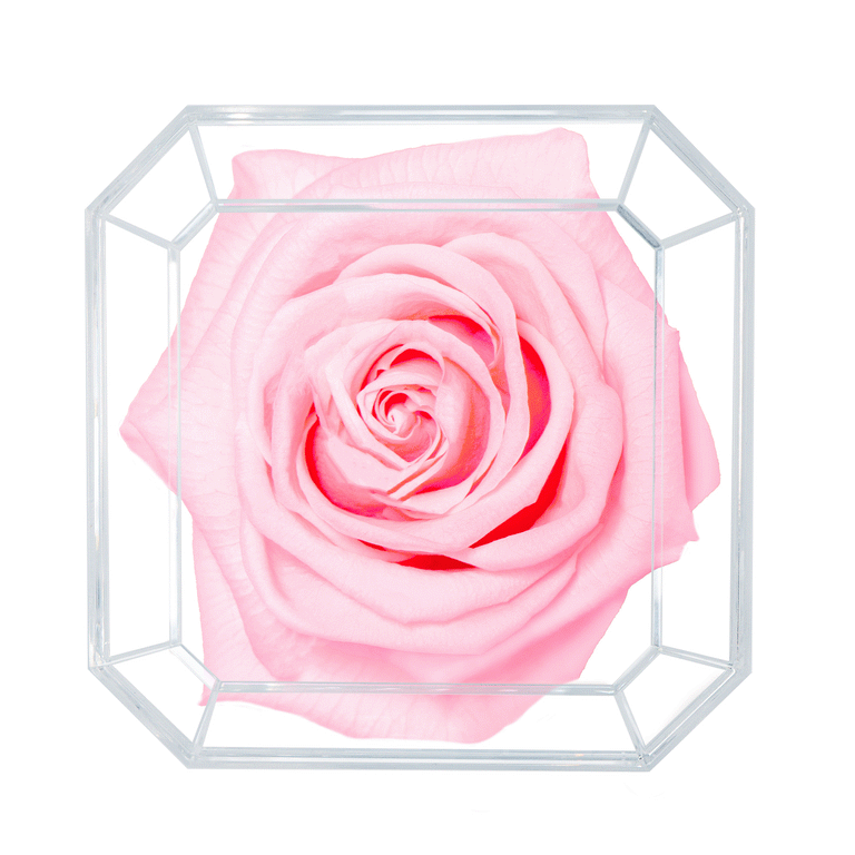 SOLO | SWEETHEART