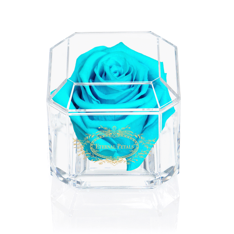SOLO | TIFFANY
