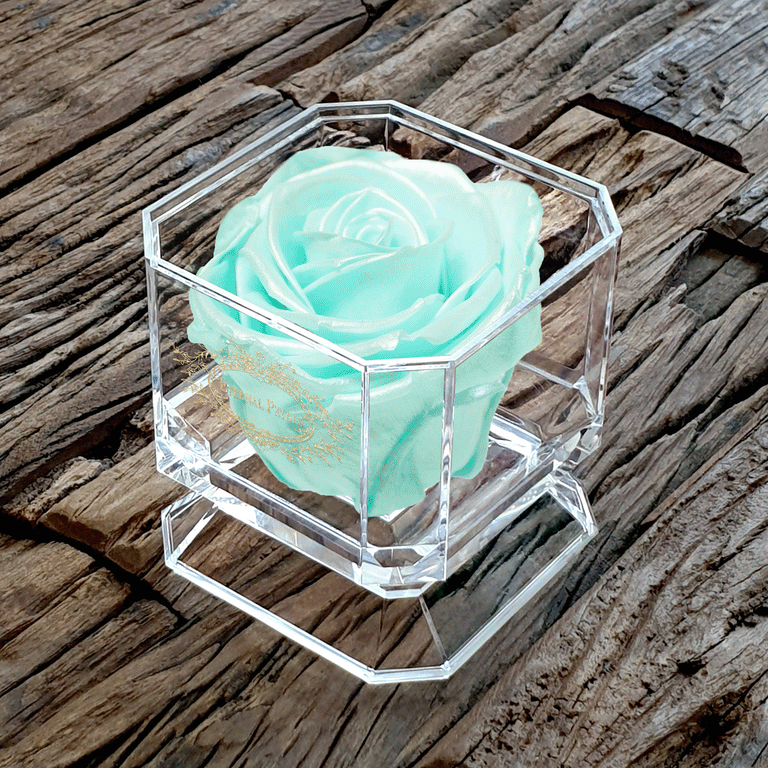 SOLO | TIFFANY SATIN