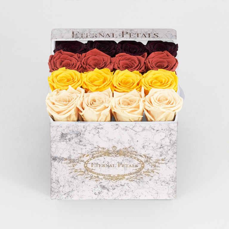 WARM OMBRE | MARBLE