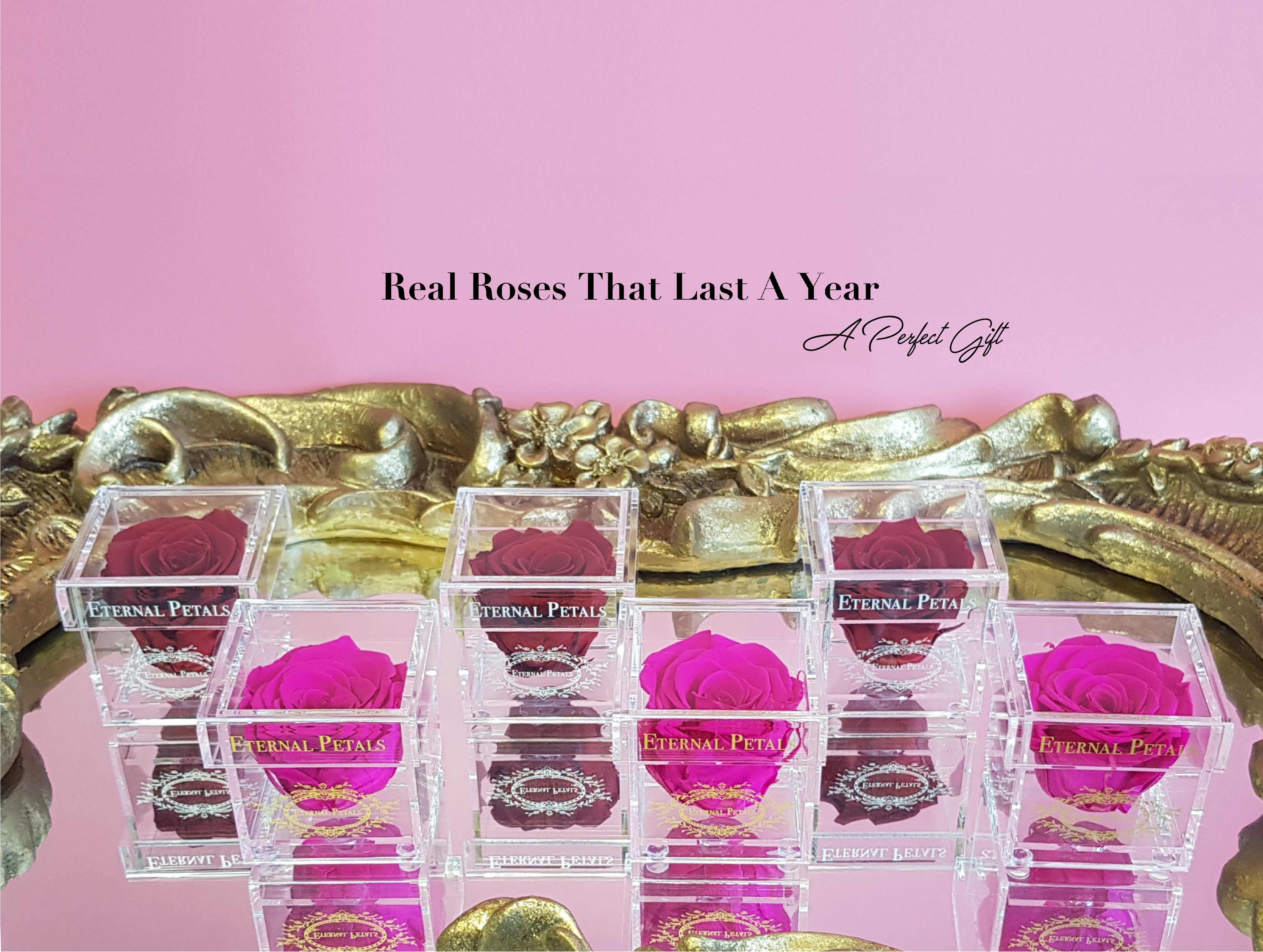 5 Reasons We All Need Longer Lasting Roses