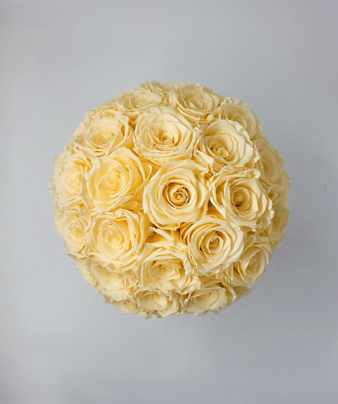 Eternal Petals: The Difference Between Preserved Flowers and Artificial Flowers