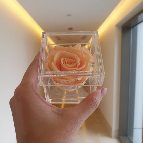 International Day of Friendship - what flowers to give?