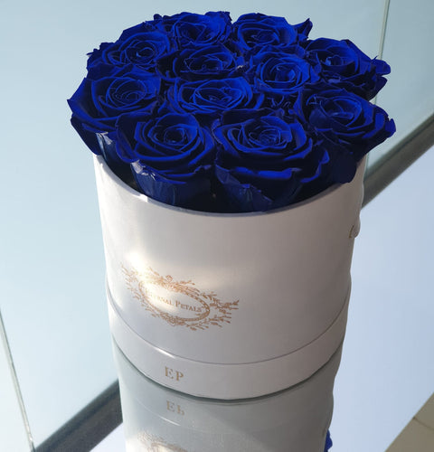 Unveiling the Most Striking Colours in the Eternal Petals Collection