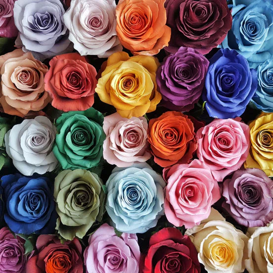 The Psychological Impact of Colors: How Rose Hues Can Influence Your Mood
