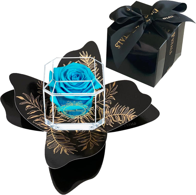 SOLO ROSE WITH GIFT WRAPPING