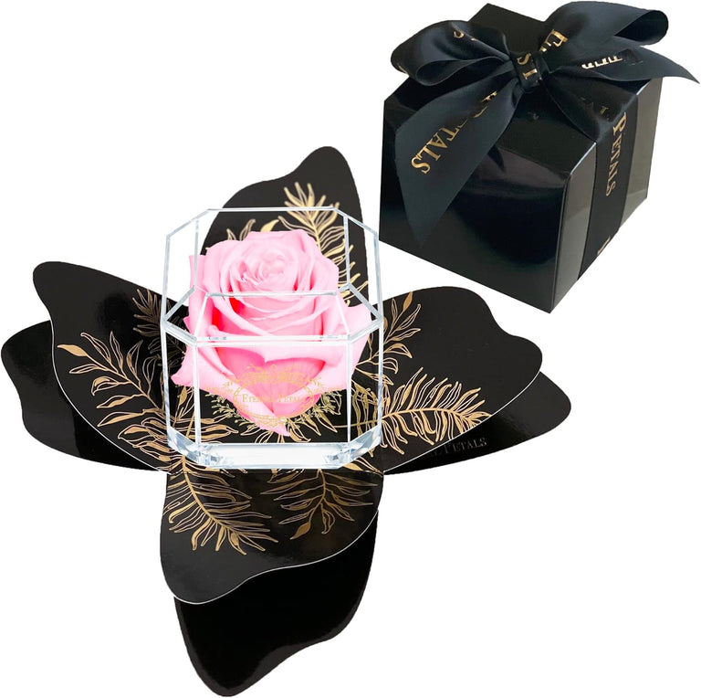 SOLO ROSE WITH GIFT WRAPPING