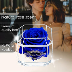 SOLO DARK BLUE WITH NECKLACE & GIFT WRAP