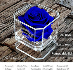 SOLO DARK BLUE WITH NECKLACE & GIFT WRAP