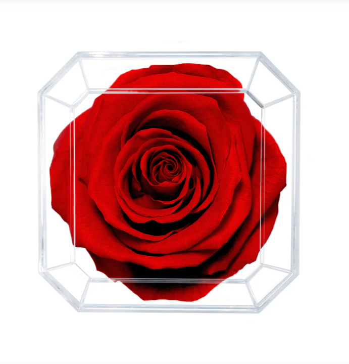 Eternal Petals