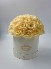 34 ROSES | WHITE ROUND BOX (CHAMPAGNE)