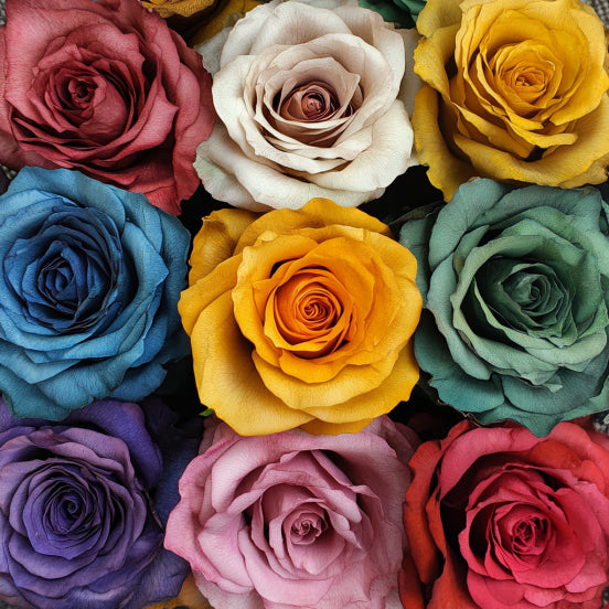 Eternal Petals