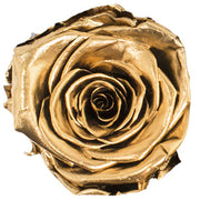 SHADE OF GOLD