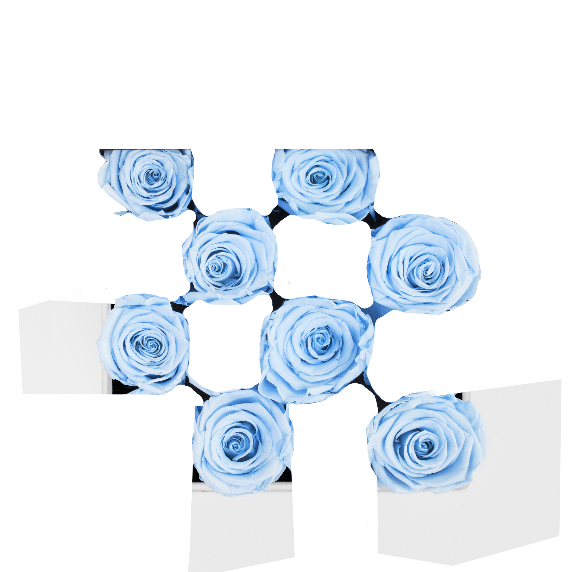 SECOND ROSE COLOR - BABY BLUE