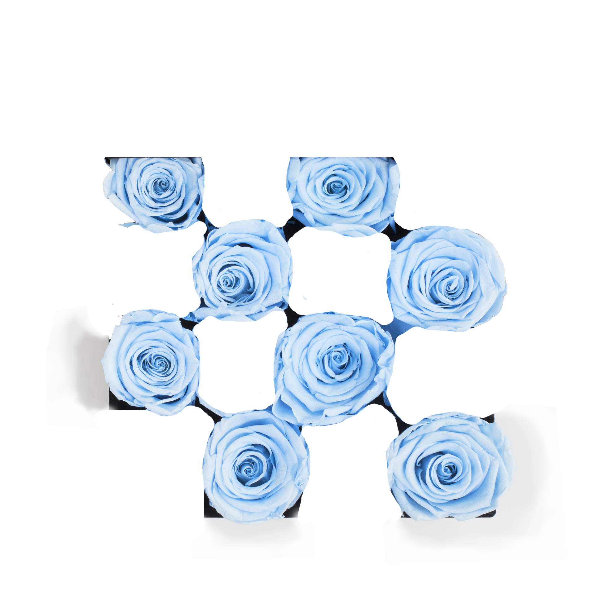 SECOND ROSE COLOR - BABY BLUE