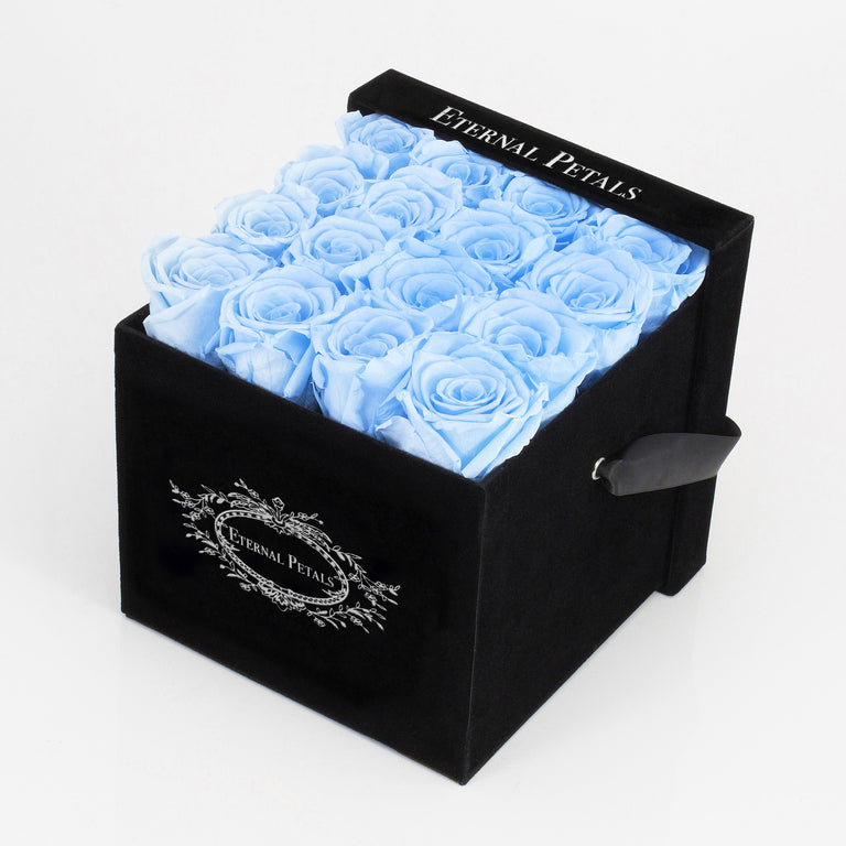 BABY BLUE | BLACK FLOWER BOX
