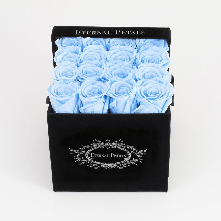 BABY BLUE | BLACK FLOWER BOX