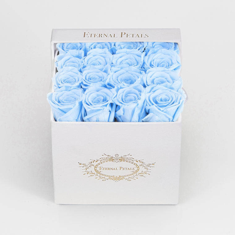 BABY BLUE | WHITE FLOWER BOX