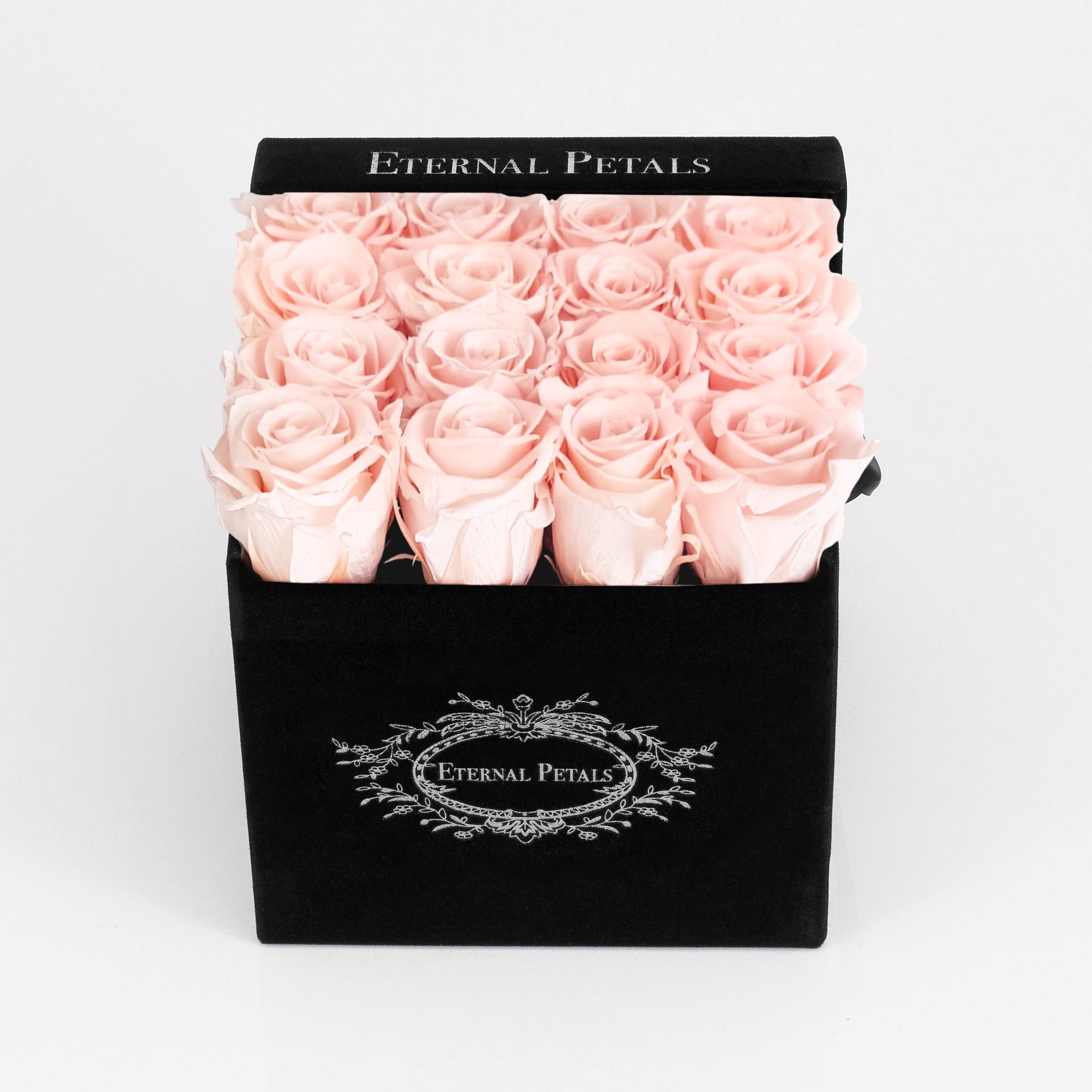 BLUSH | BLACK FLOWER BOX