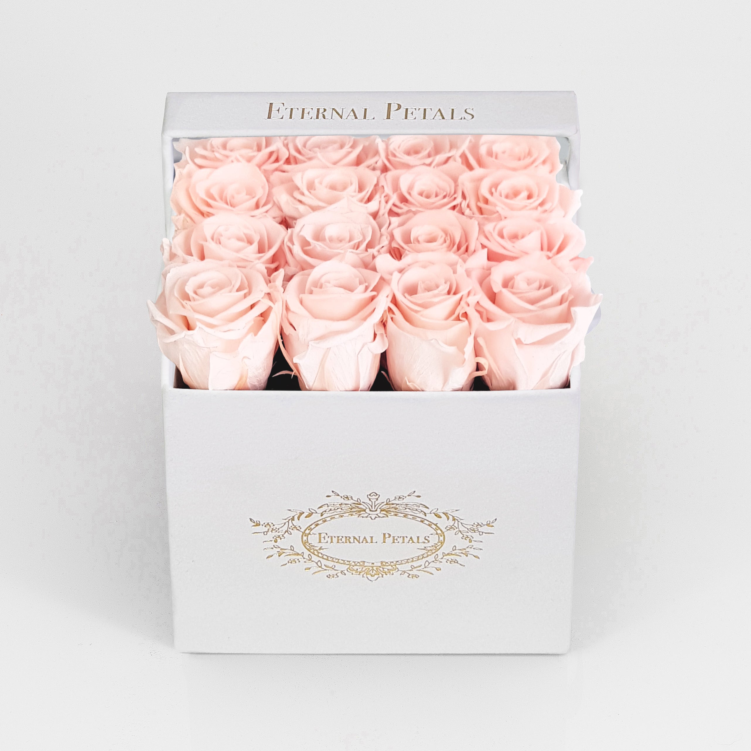 BLUSH | WHITE FLOWER BOX