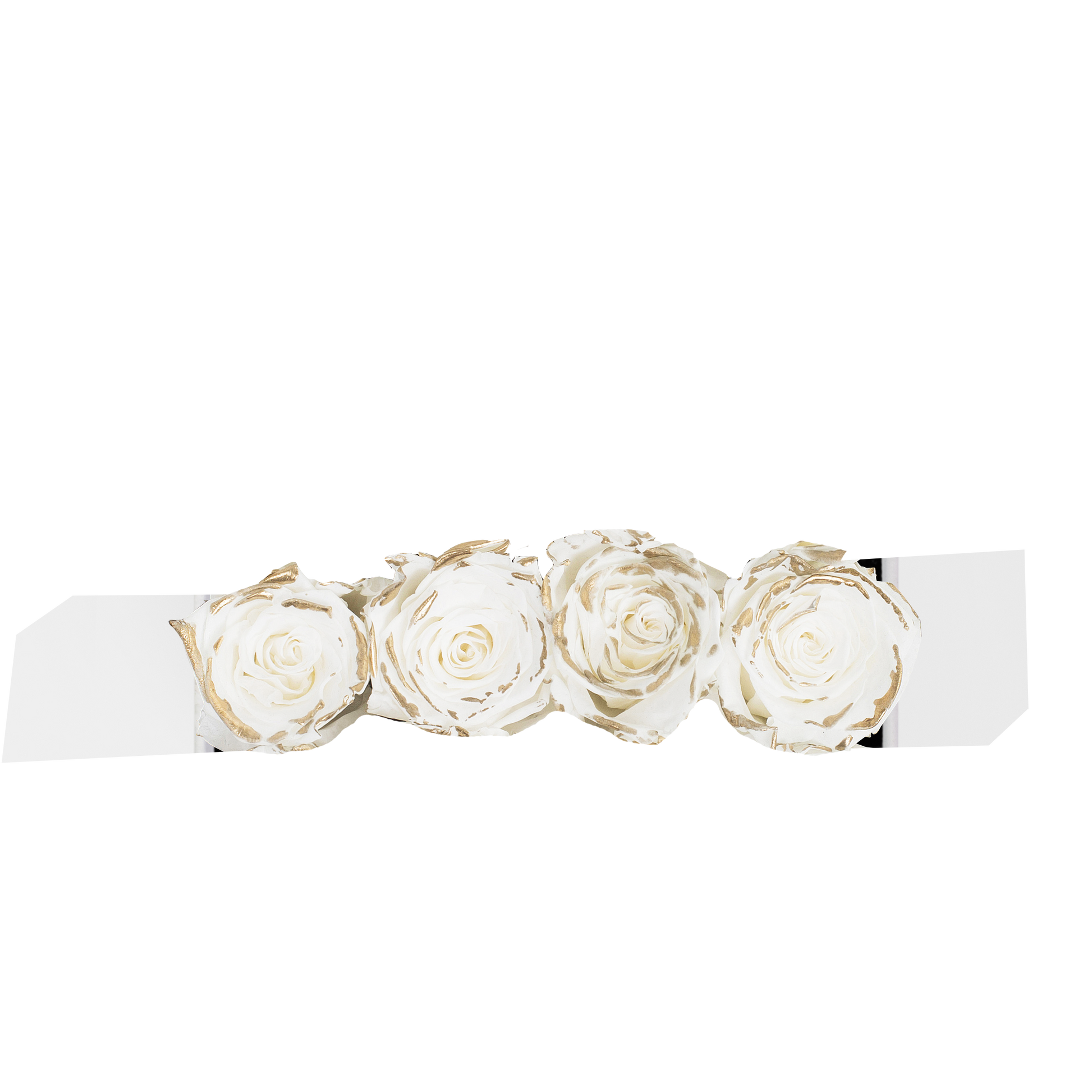 GOLD INFUSED - FUSION - GOLD FROST