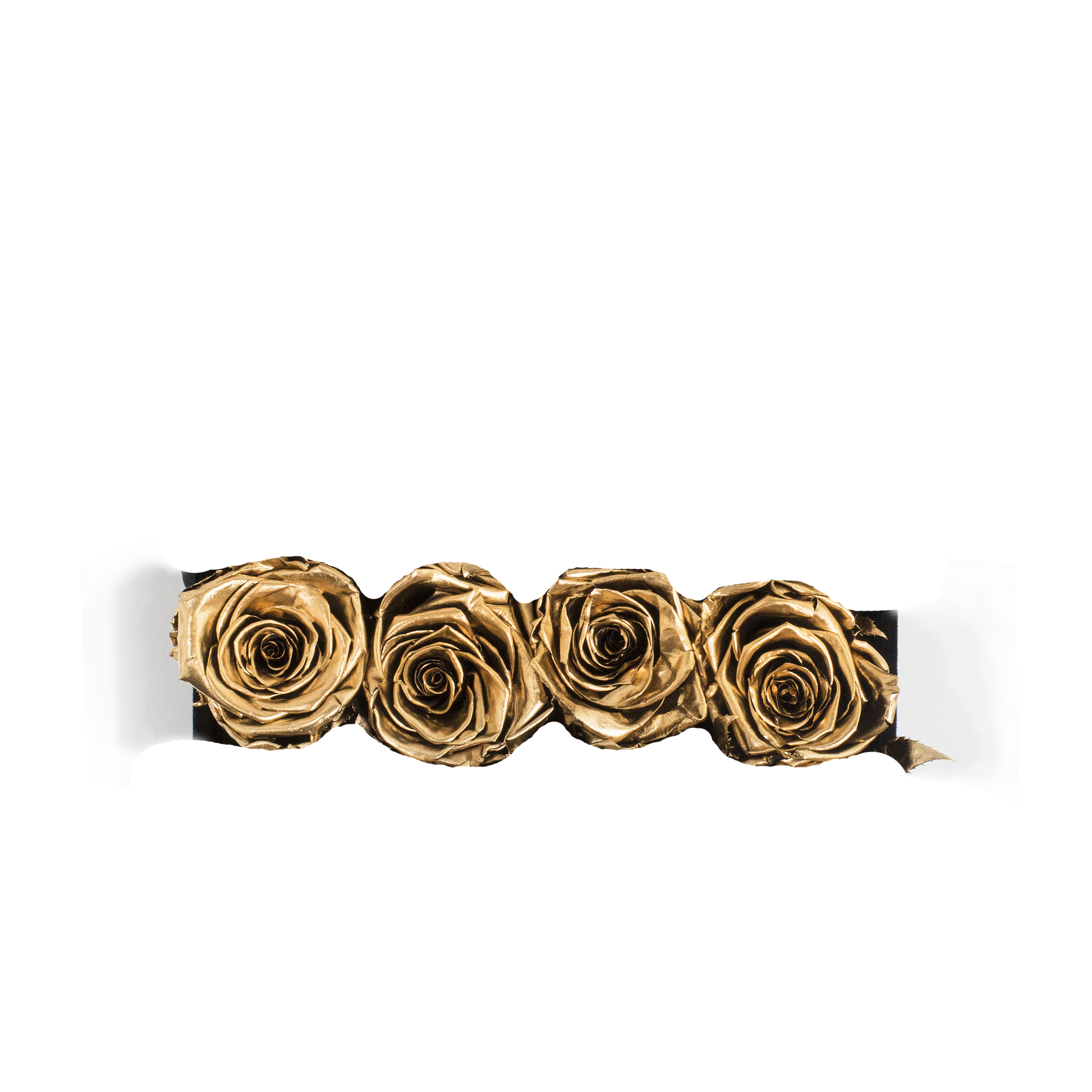 GOLD INFUSED - FUSION - GOLD