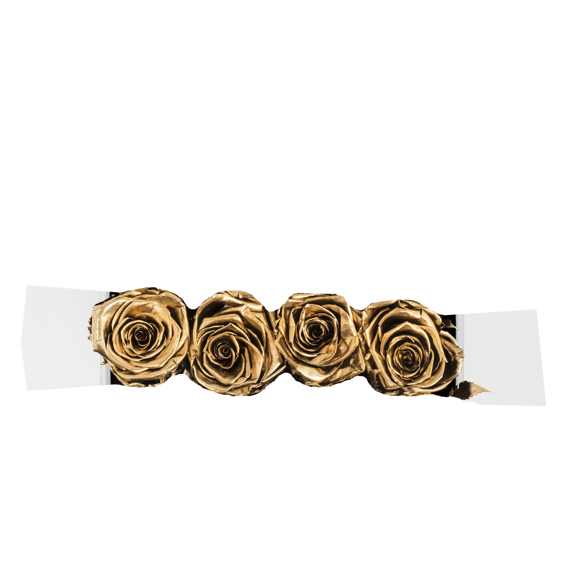 GOLD INFUSED - FUSION - GOLD