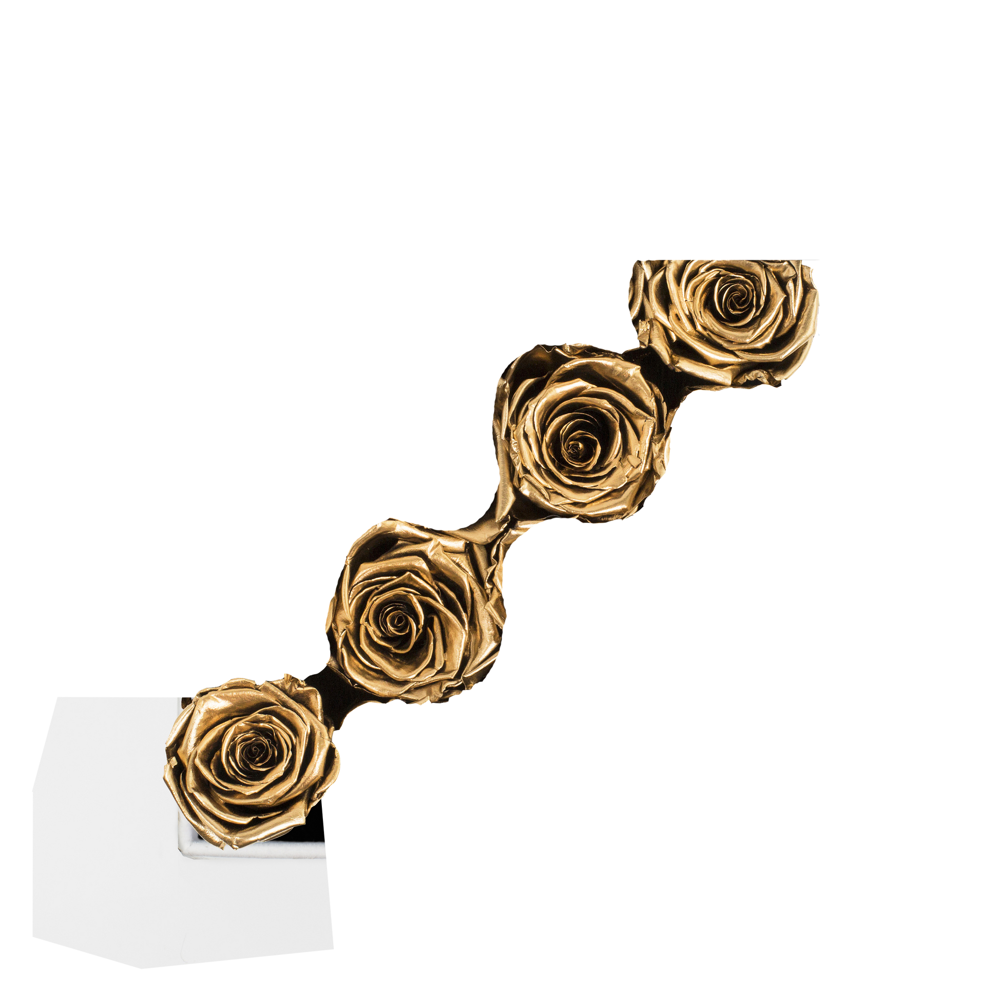 GOLD INFUSED - STRIPE - GOLD