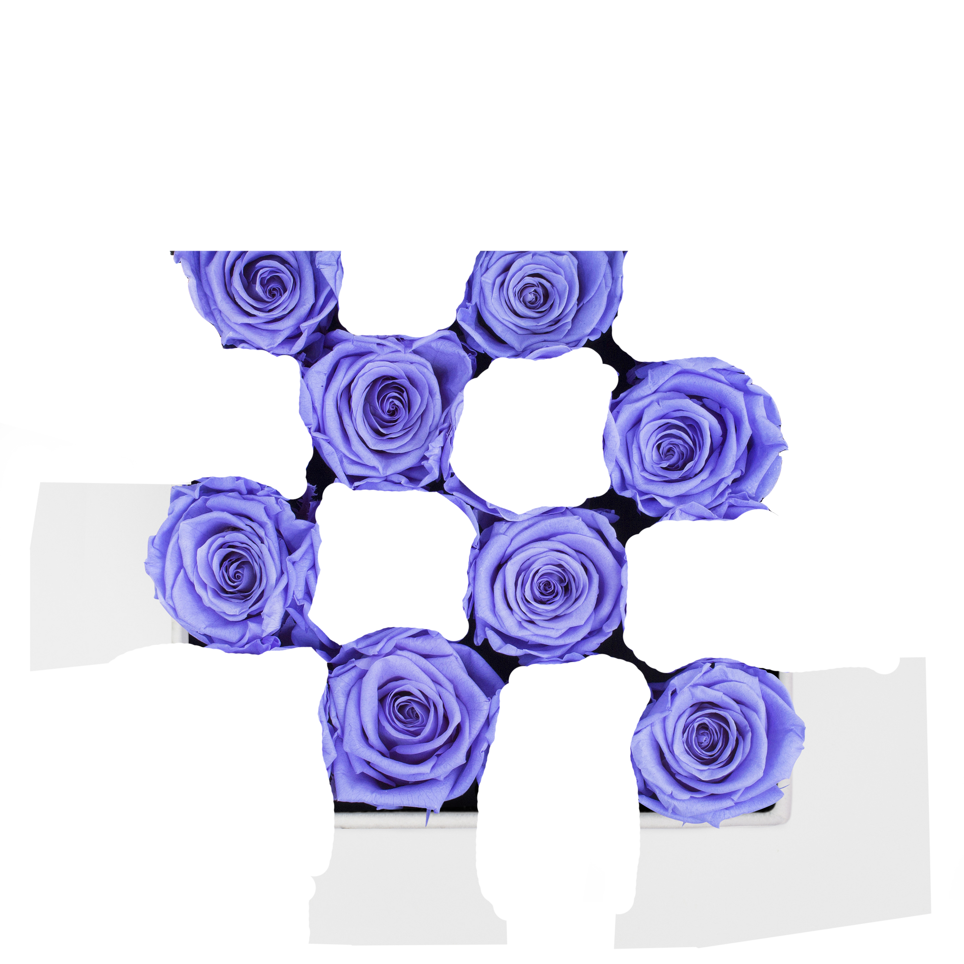 SECOND ROSE COLOR - LAVENDER