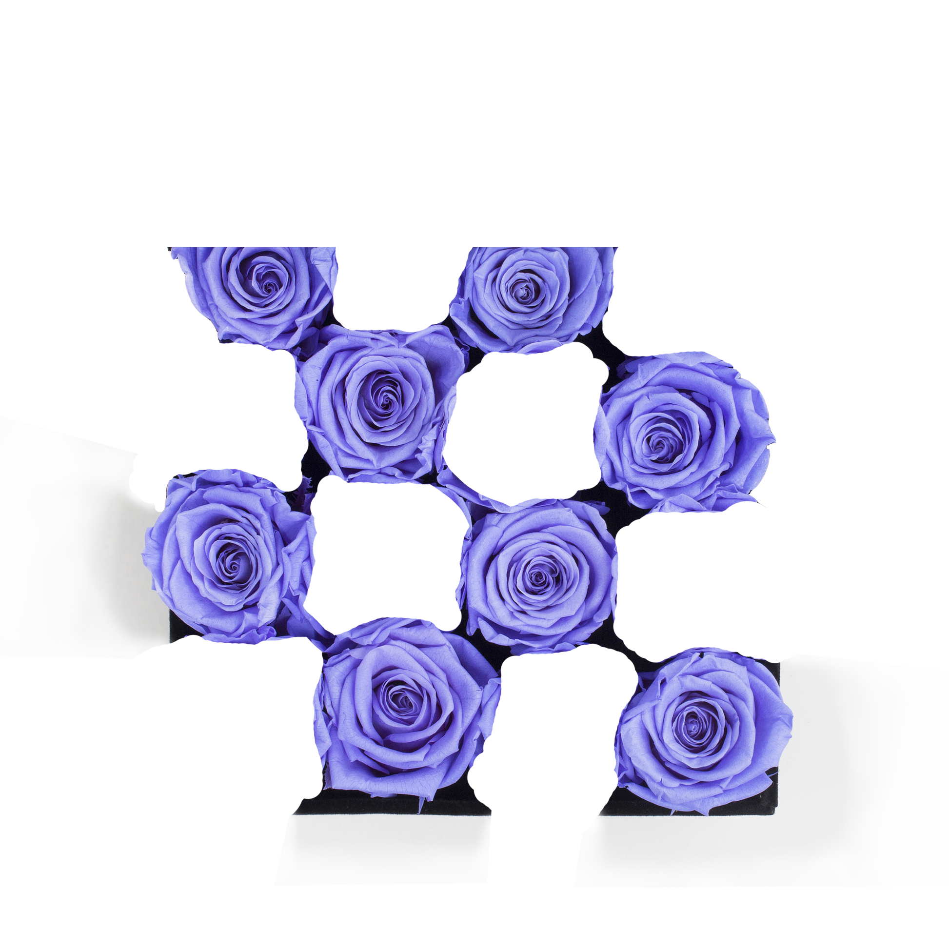 SECOND ROSE COLOR - LAVENDER