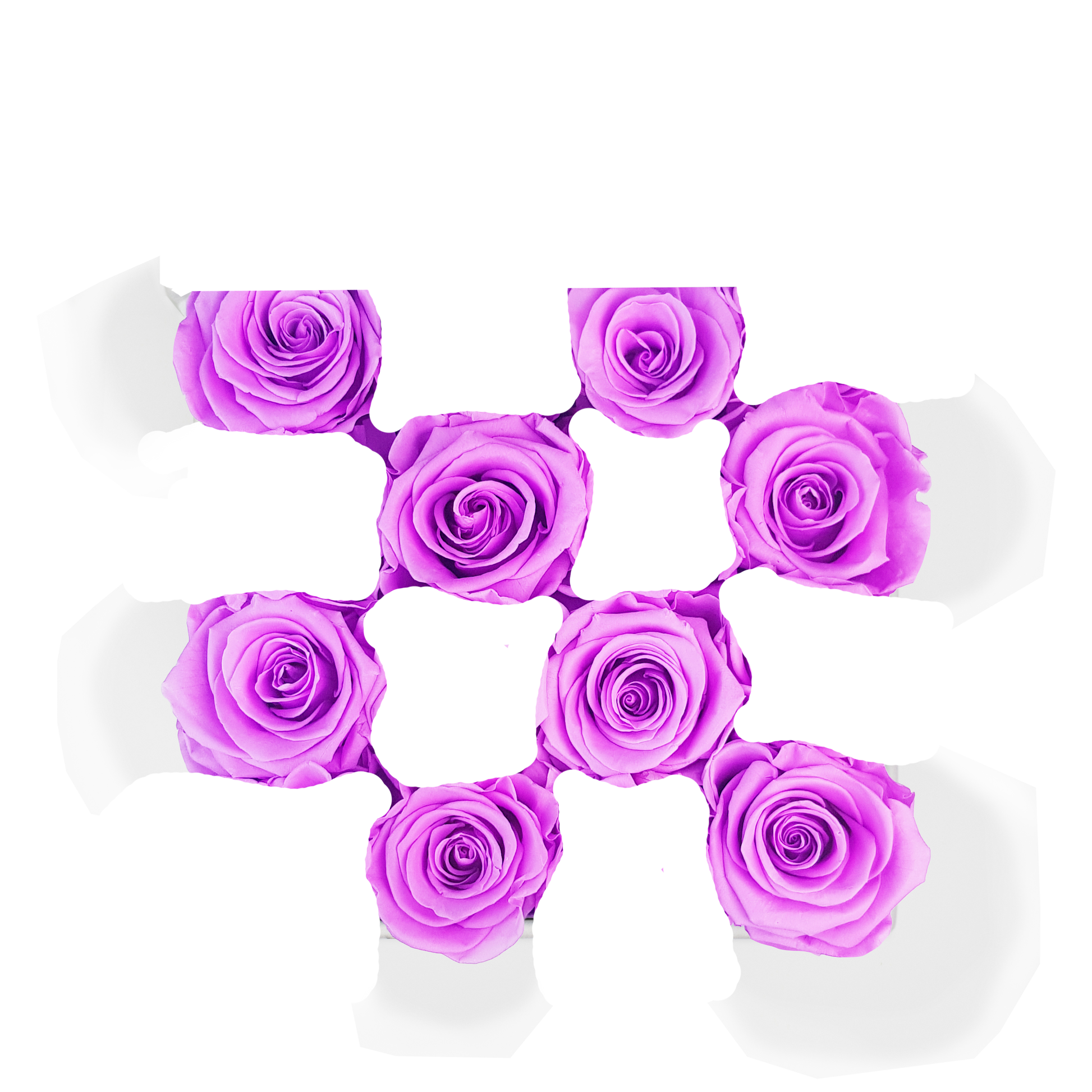 SECOND ROSE COLOR - LILAC