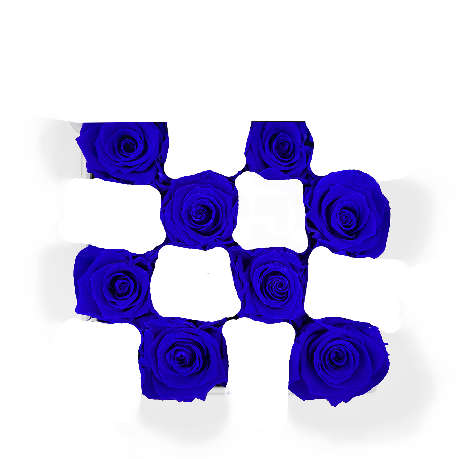 SECOND ROSE COLOR - MIDNIGHT