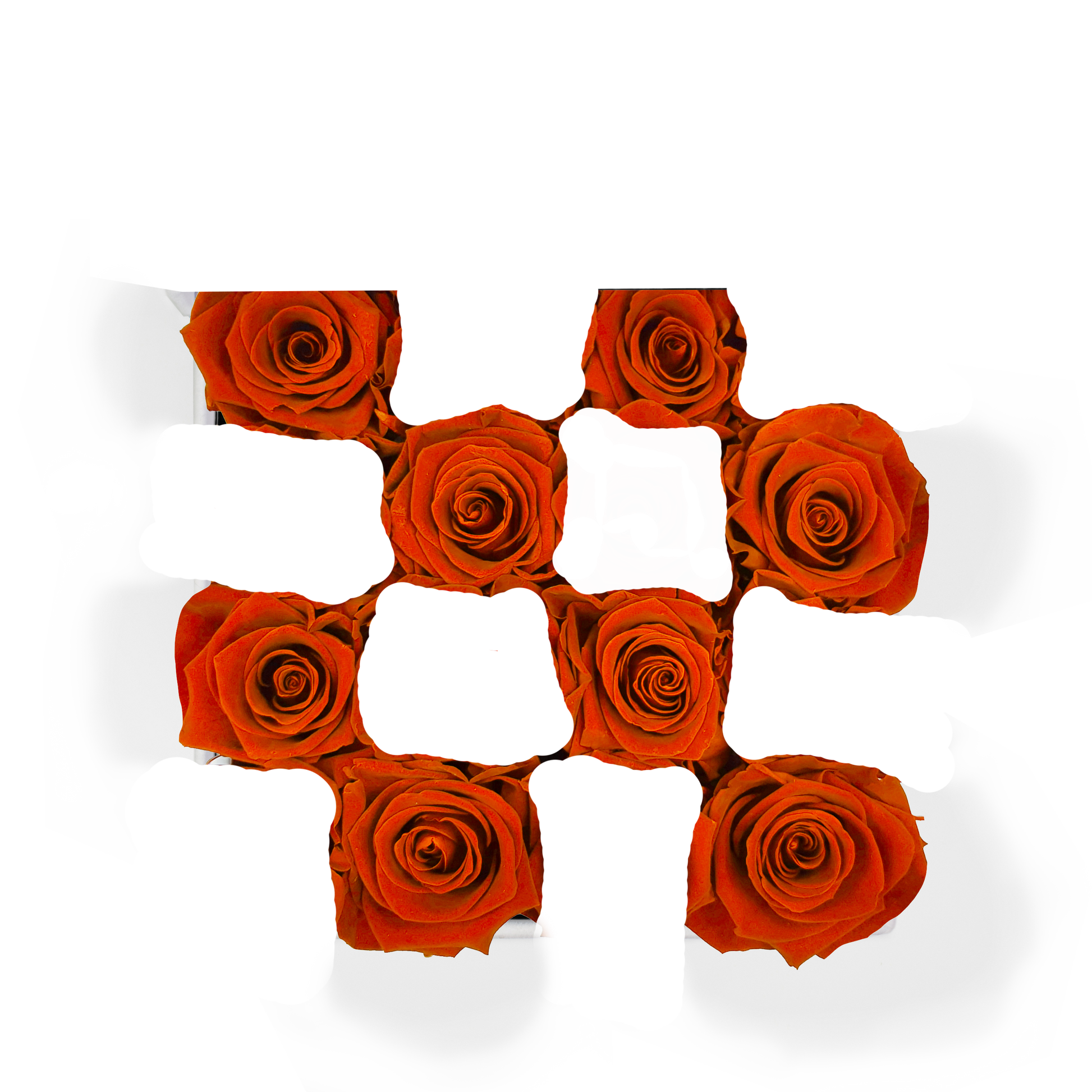 SECOND ROSE COLOR - ORANGE FLAME