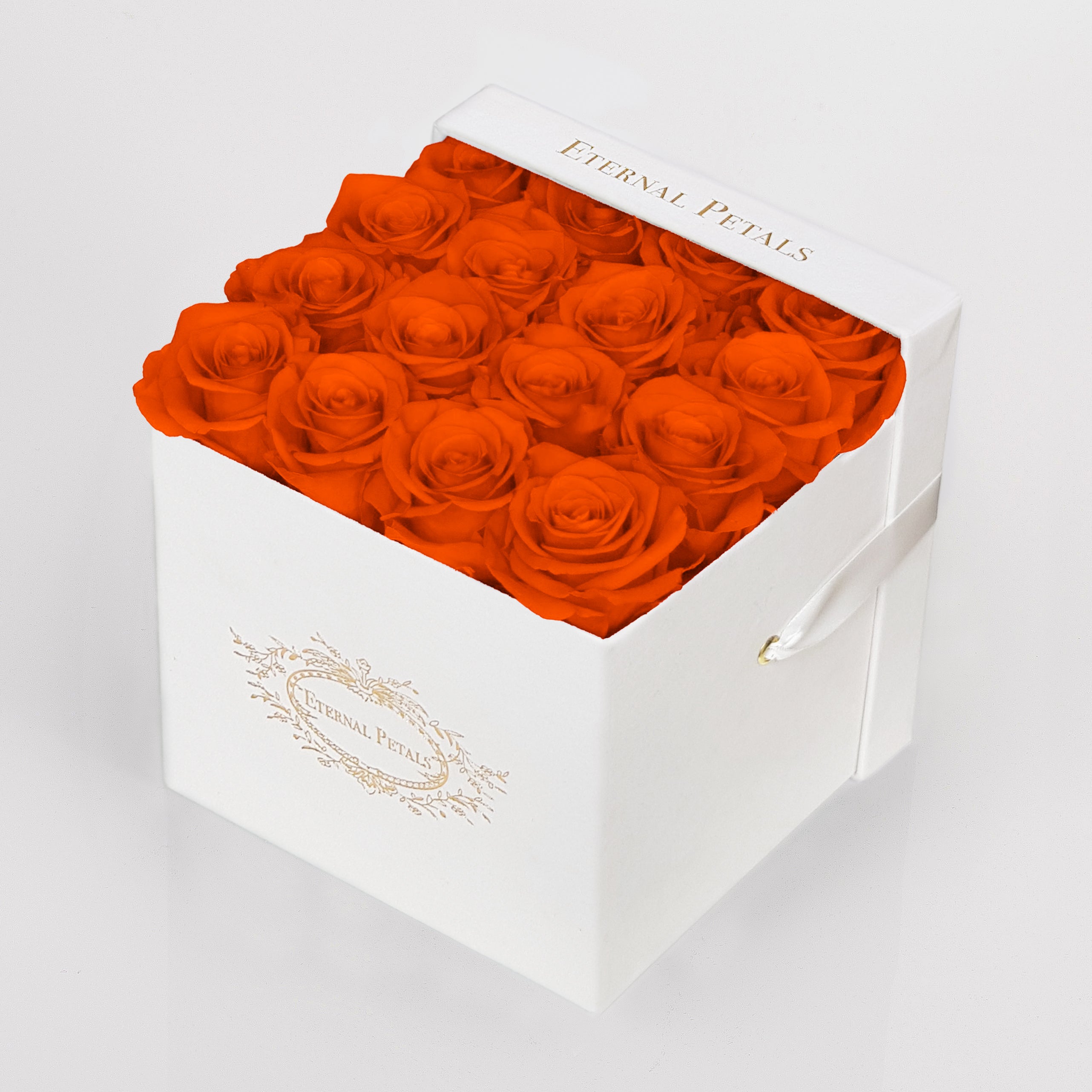 ORANGE | WHITE FLOWER BOX