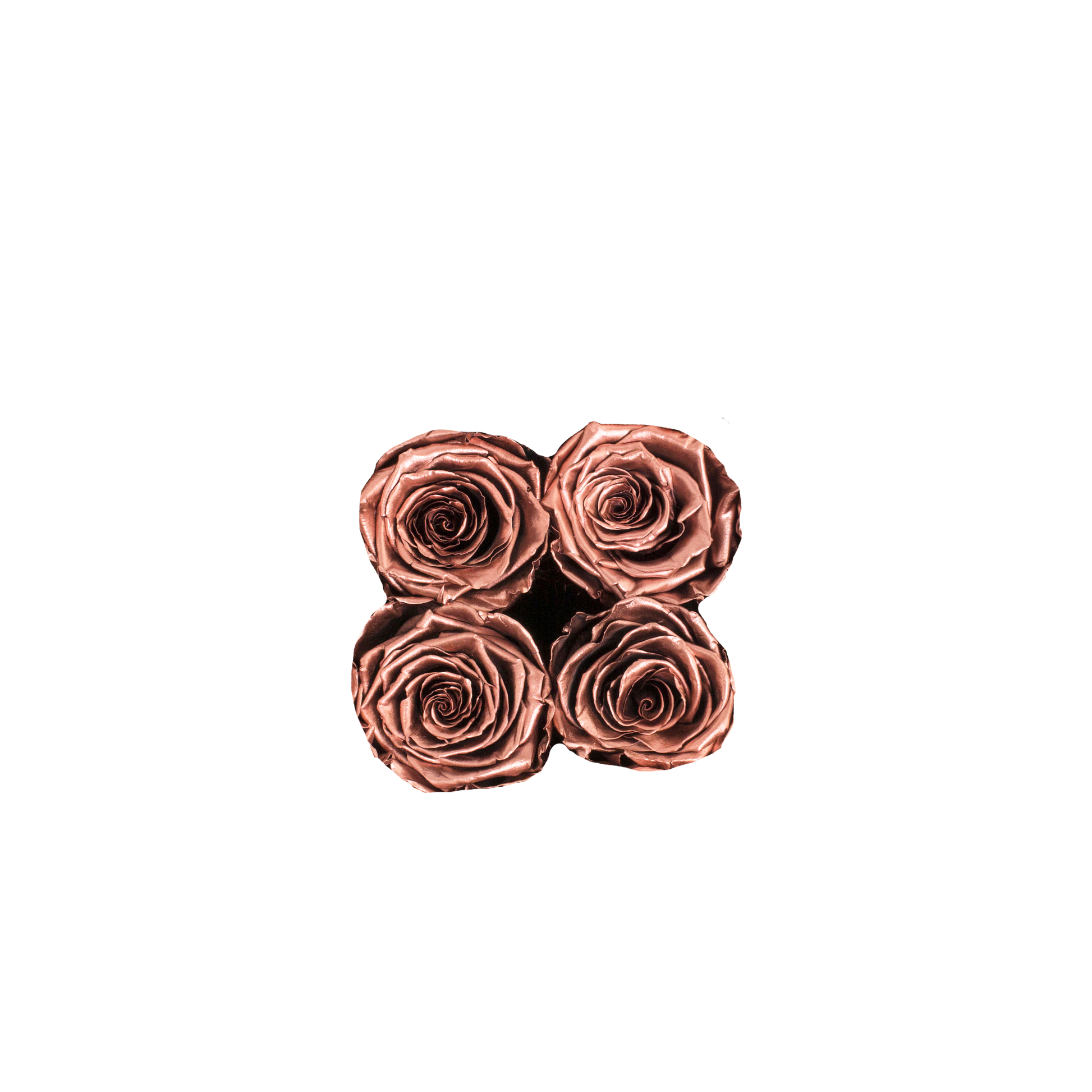 GOLD INFUSED - CENTRE - ROSE GOLD