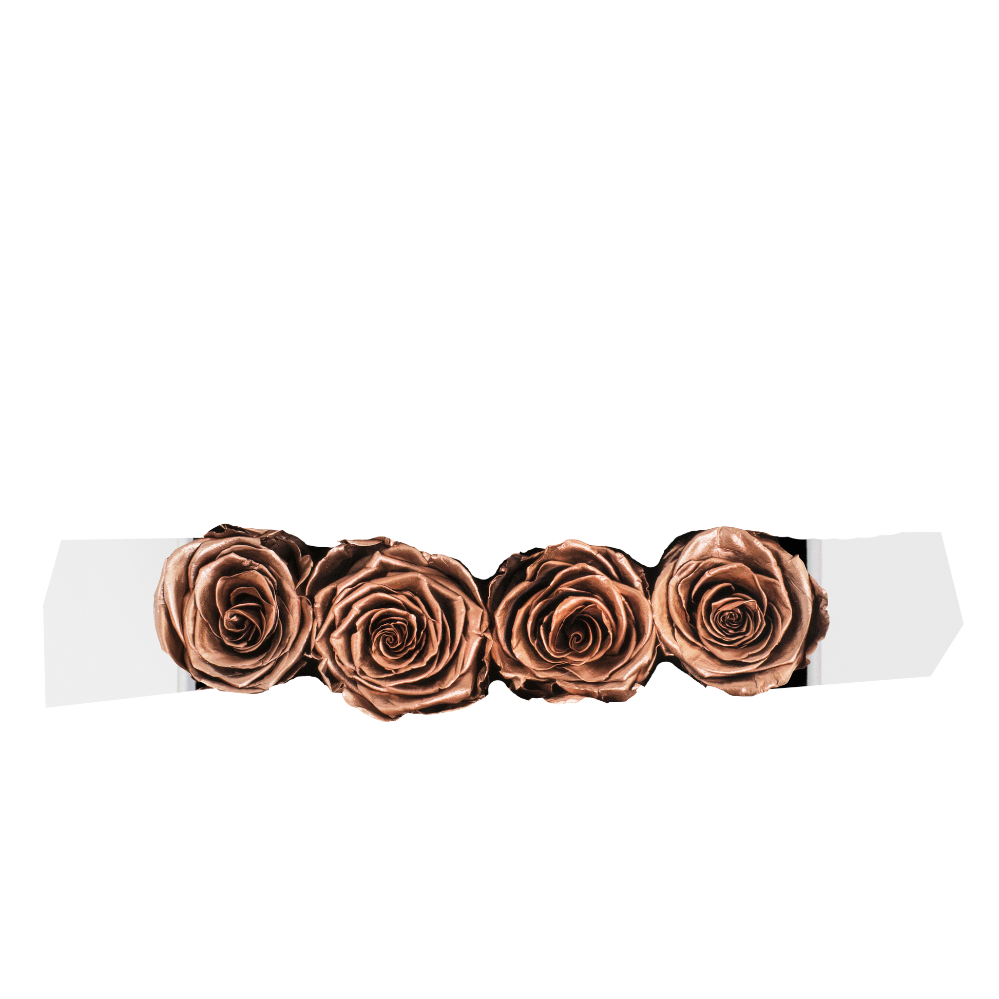 GOLD INFUSED - FUSION - ROSE GOLD