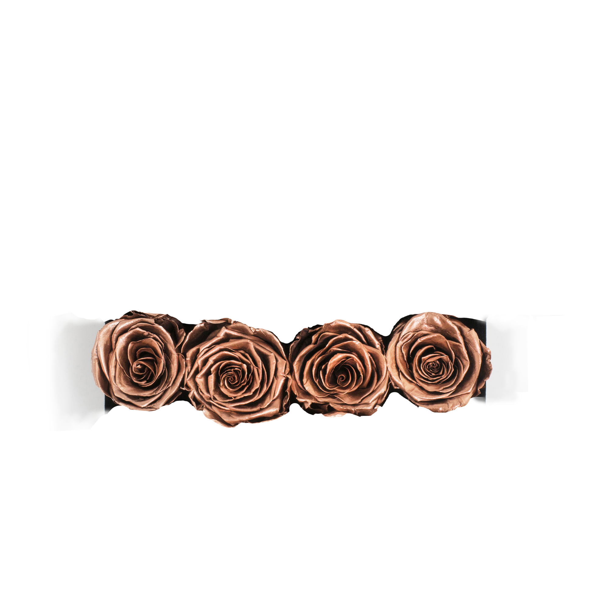GOLD INFUSED - FUSION - ROSE GOLD