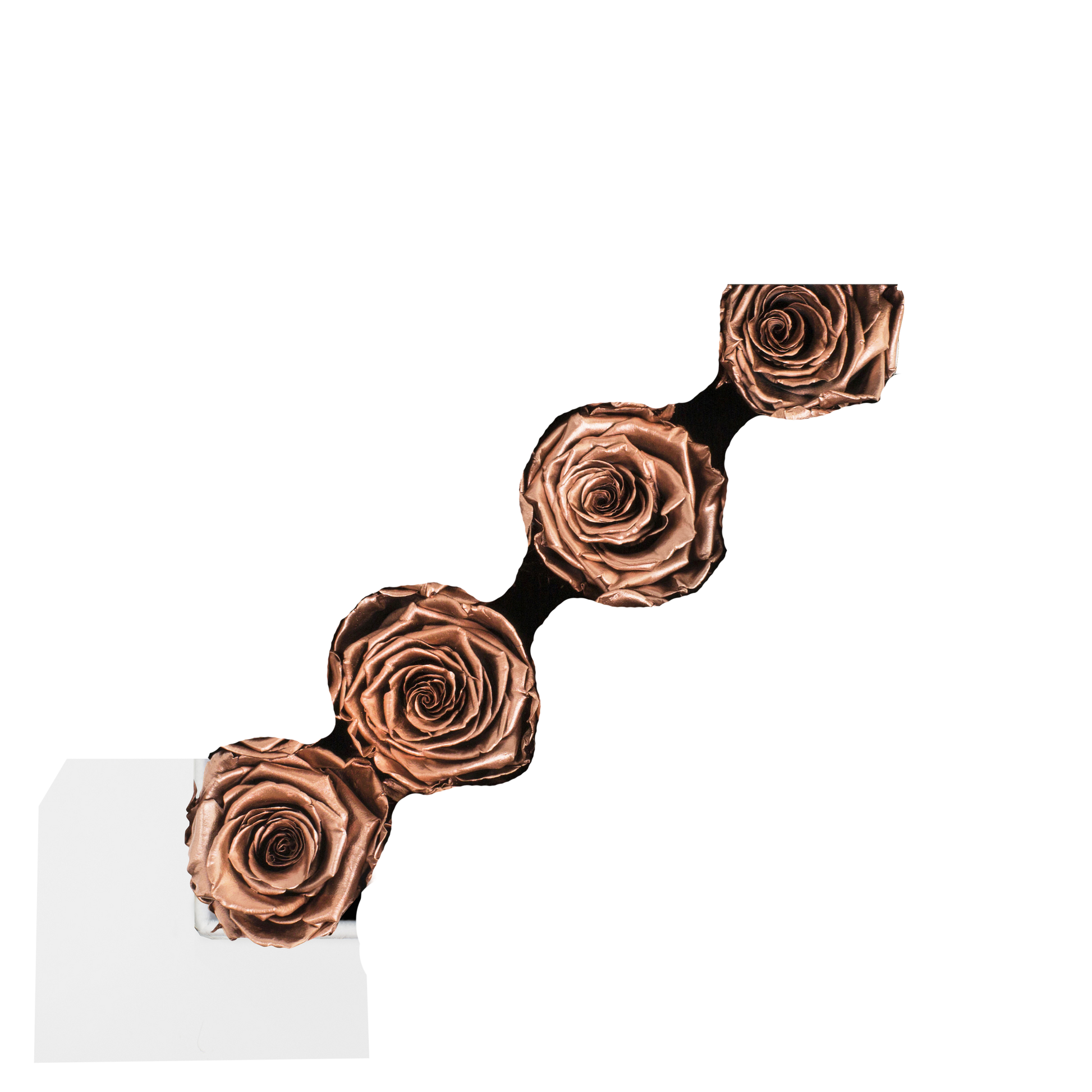 GOLD INFUSED - STRIPE - ROSE GOLD