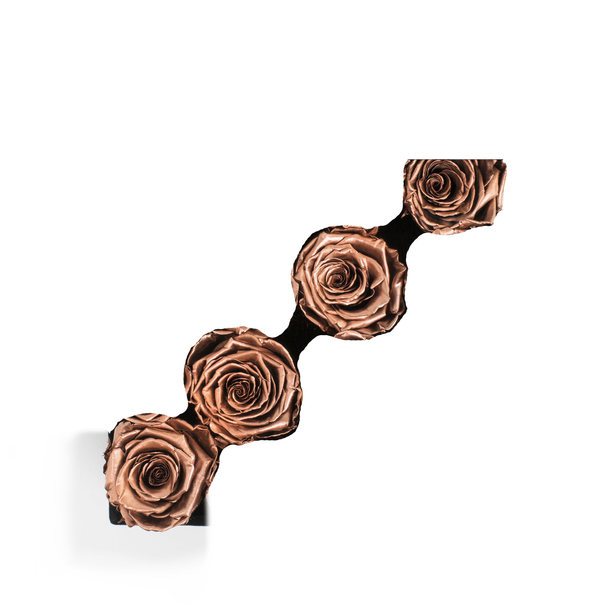 GOLD INFUSED - STRIPE - ROSE GOLD