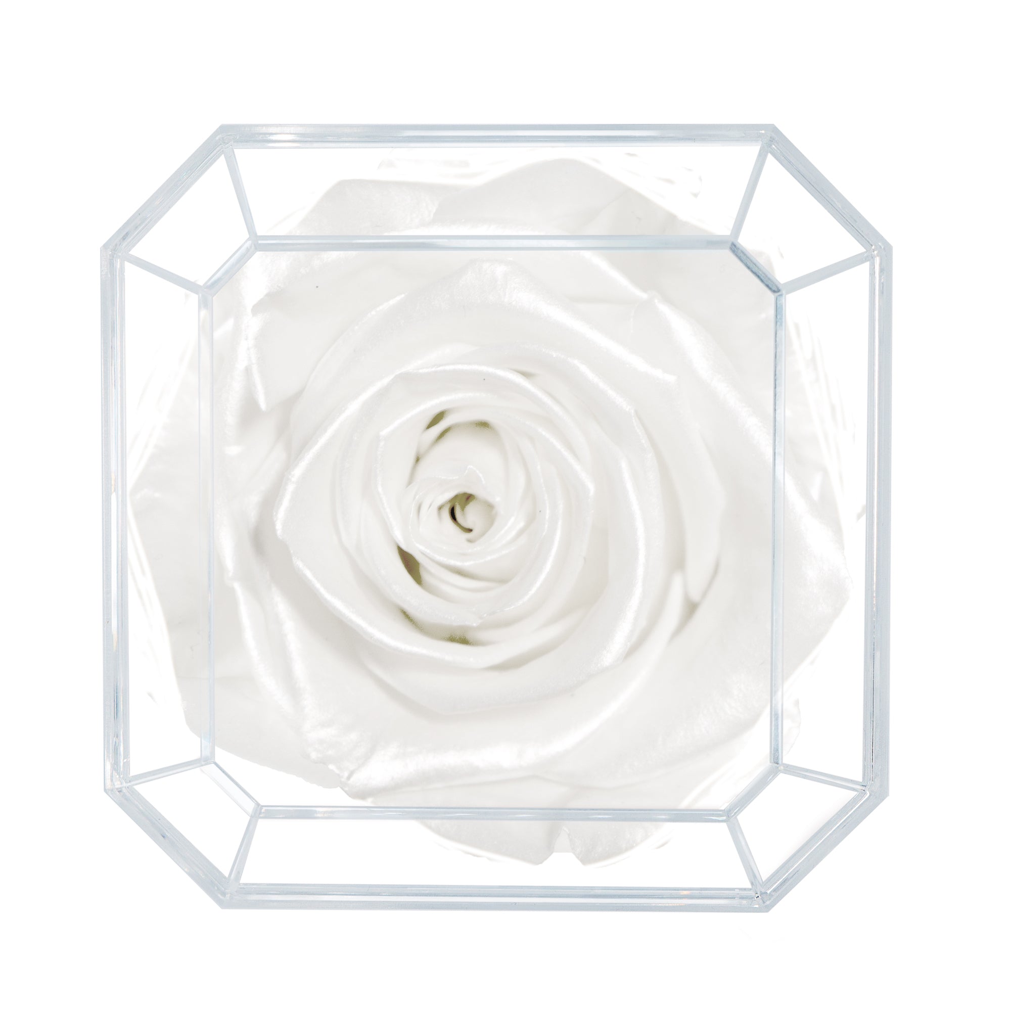 DIAMOND | WHITE SATIN