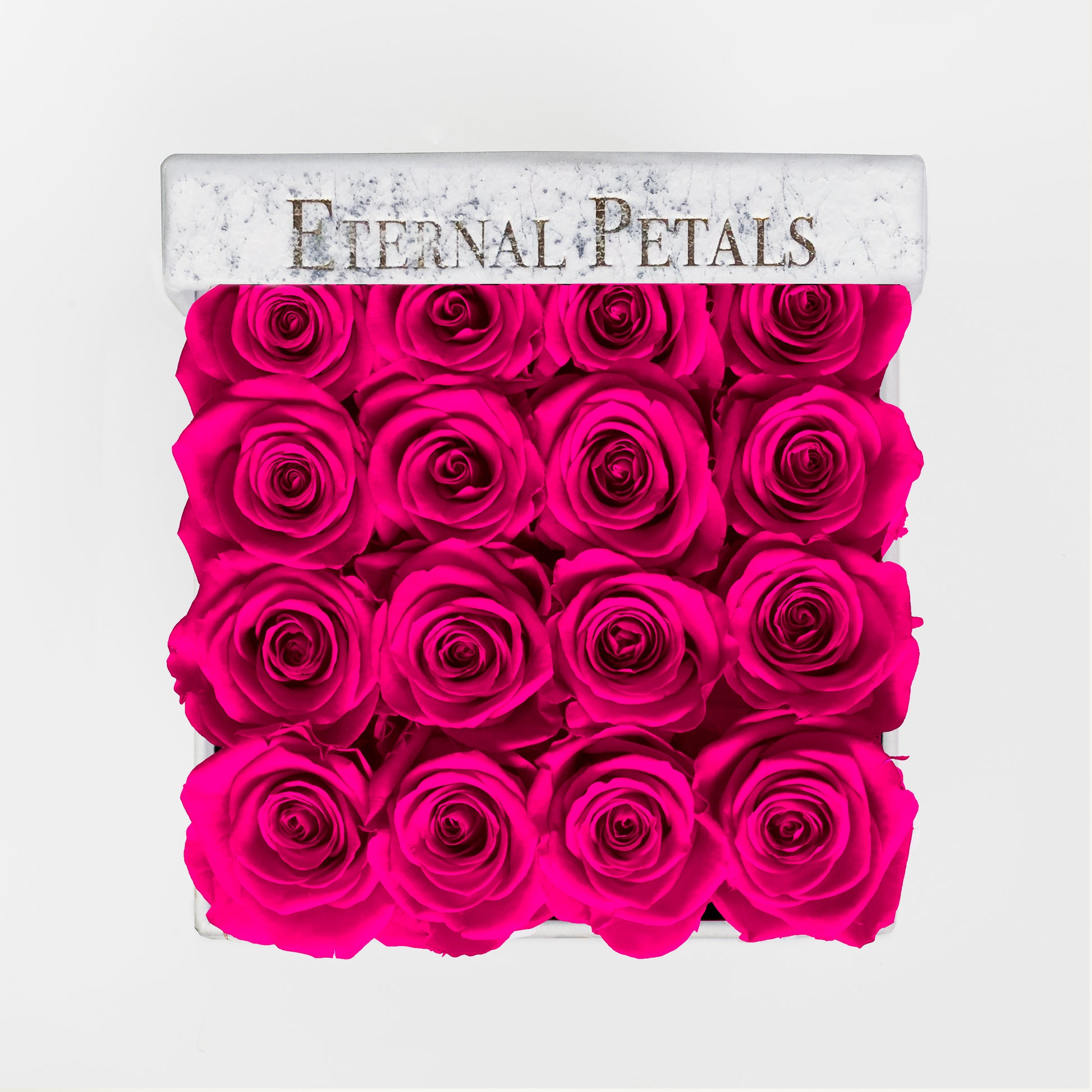 ROSE COLOR - HOT PINK