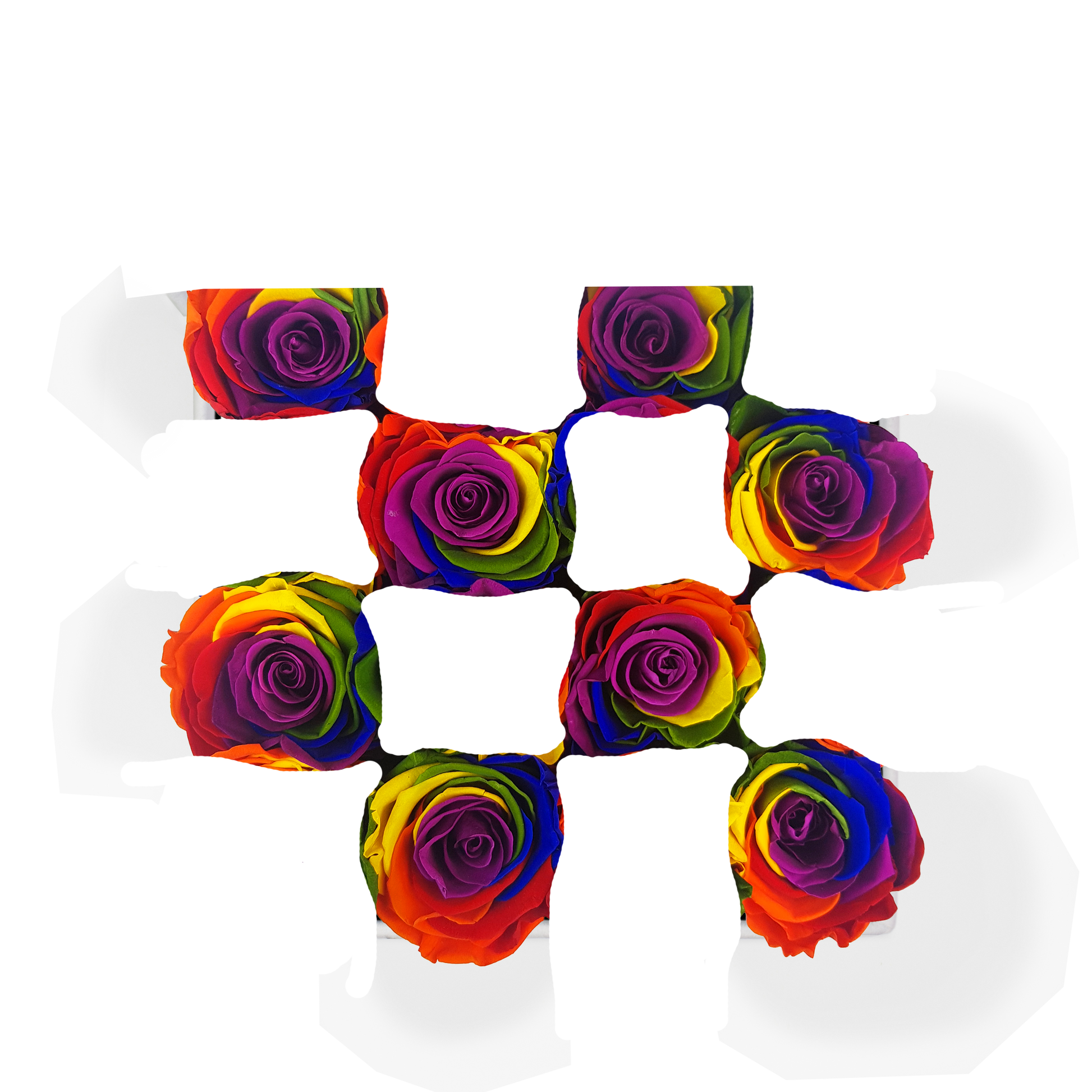 SECOND ROSE COLOR - RAINBOW