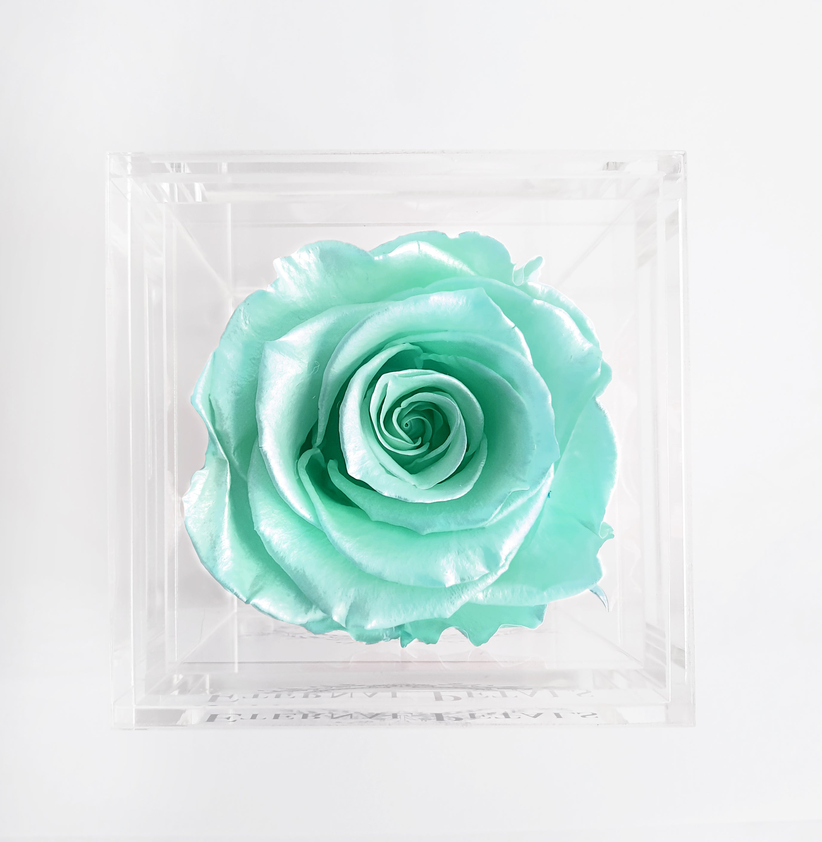 SOLO | TIFFANY SATIN